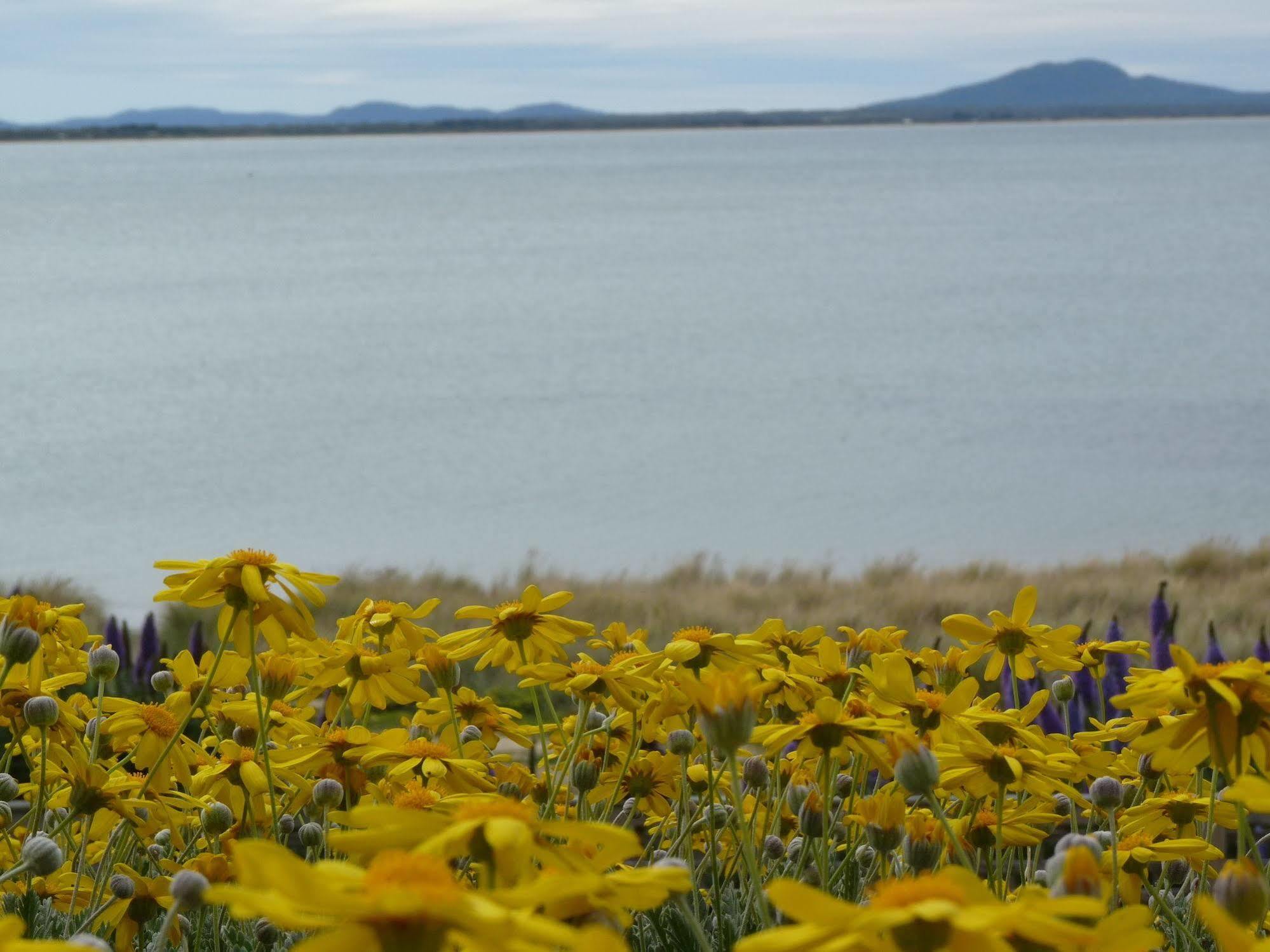 Swansea Motor Inn Tasmania Dış mekan fotoğraf